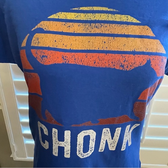 Blue Cat Chonk Graphic T-Shirt - Picture 2 of 5